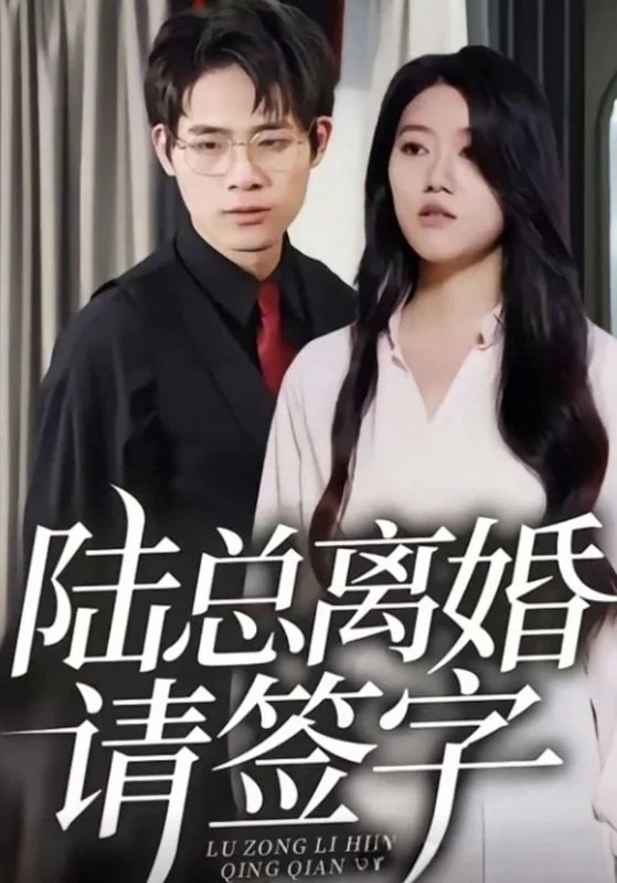 陆总离婚请签字作品宣传海报