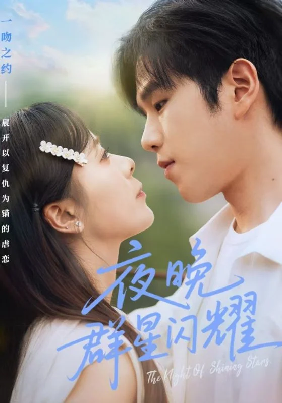 夜晚群星闪耀作品宣传海报
